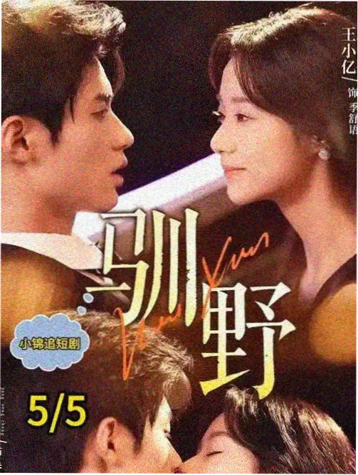 双重转码示意